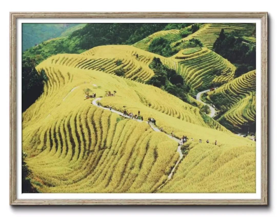 https://mmbiz.qpic.cn/mmbiz_jpg/6gyKCOm9nw38KHHwbk7QMPtzia8g8FEViaVw5iaoh9oK0ZzYDDK1iaASDb39PrYEGc4emhcrFloXh87v1IjjdqOH3g/640?wx_fmt=jpeg